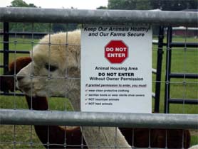 Photo of an animal warning sign on fence