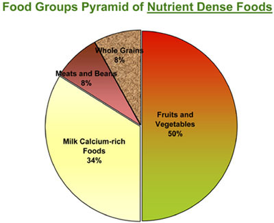 Healthy+food+chart