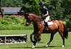 Riding Demonstration at Centenary University's Equine Center