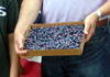 Photo of just-picked blueberries