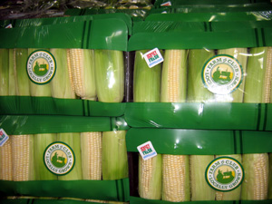 Photo of Jersey Fresh sweet corn