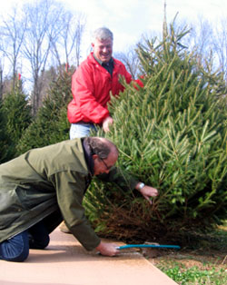 Photo of Secretary Fisher and Chris Nicholson cutting down a tree