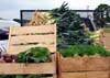 Photo of Jersey Fresh just-picked produce