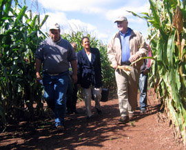 Photo of Rich Norz, Secretary Wells and Secretary Kuperus in the corn maze