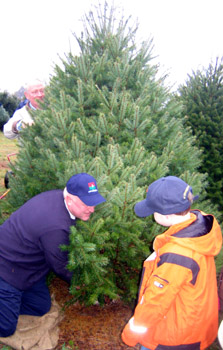 Photo of Secretary Kuperus and Senator Lance cutting down a tree selected by Johnny Wyckoff