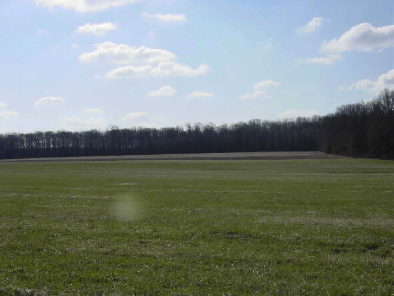 New Jersey Farmland Preservation Program Photos of Former Farm