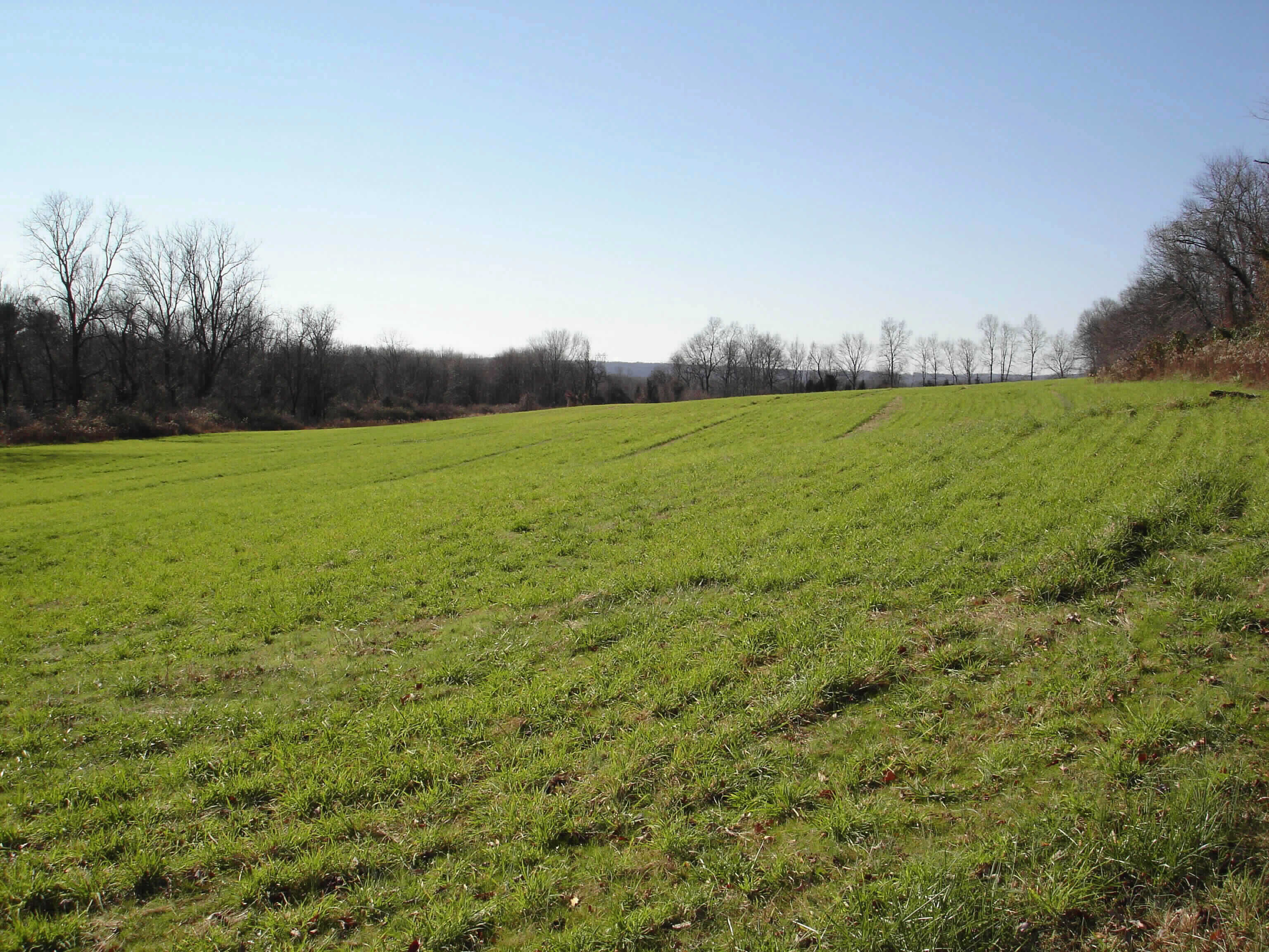 New Jersey Farmland Preservation Program Pictures of Former Seagraves
