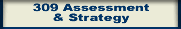 309 Assessment & Strategy