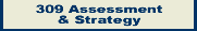 309 Assessment & Strategy