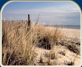 dep photo-dune
