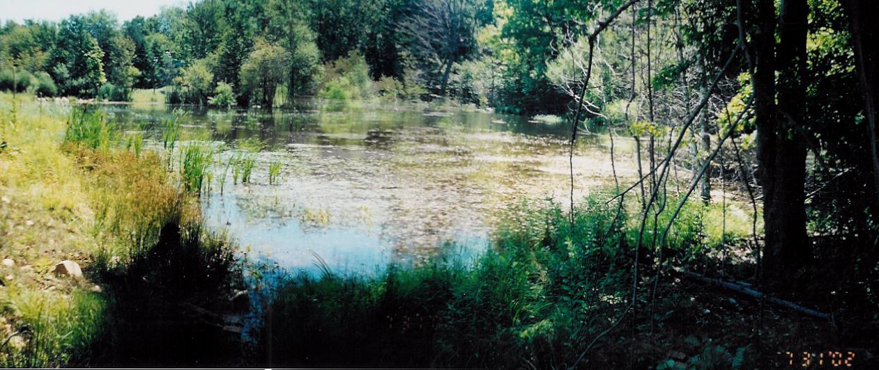 Site in July 2002