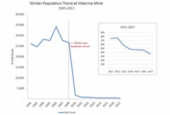 Hibernia Mine Population Trend 1995-2017