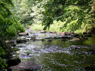 New Jersey brook