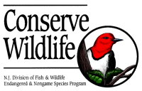 Conserve Wildlife logo
