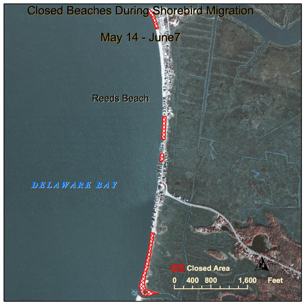 NJDEP Division of Fish & Wildlife 2005 Delaware Bay Beach Closure