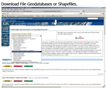 Download File Geodatabases or Shape Files
