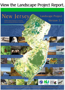 Landscap Project Report