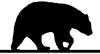 bear icon