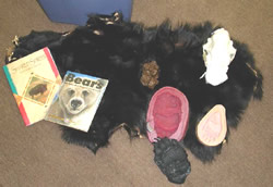 Bear trunk contents