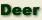 Deer Information