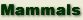 Mammal Information