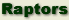 Raptor Information