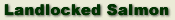 Landlocked salmon