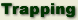 Trapping Information