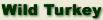 Wild Turkey Information