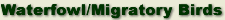 Waterfowl and Migratory Bird Information