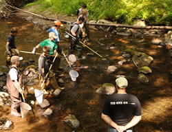 Electrofishing the Flatbrook