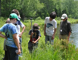 Wetland ecology