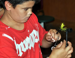 Fly tying