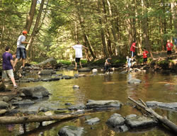 Enjoying the Flatbrook