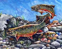 Brook trout art