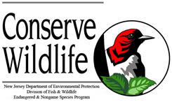 Conserve Wildlife logo