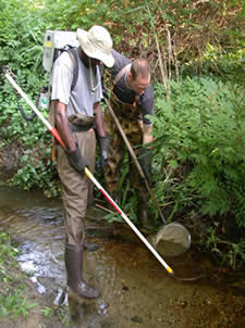 Electrofishing small stream
