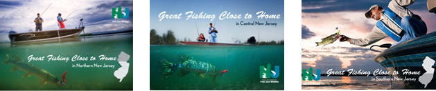 Fishing brochures covers