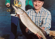 Northern Pike