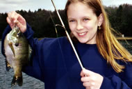 Sunfish