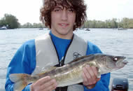 Walleye