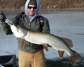 Angler with Tiger Muskie on Ice