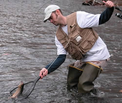 Angler netting trout in stream