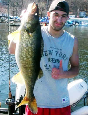 Greenwood Lake Walleye