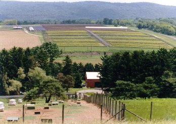 View of Rockport Pheasant Farm