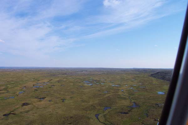 Tundra wetland habitat from chopper