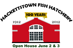 Hackettstown Centennial Logo