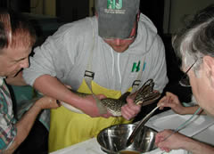 Stripping northern pike