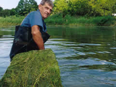 Algae is removed from pond