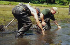 Finishing harvest by hand